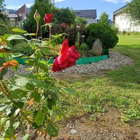 W Stodole * Krościenko