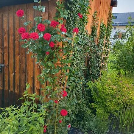 Daire W Stodole Krościenko