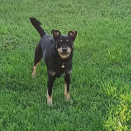 Daire W Stodole Krościenko