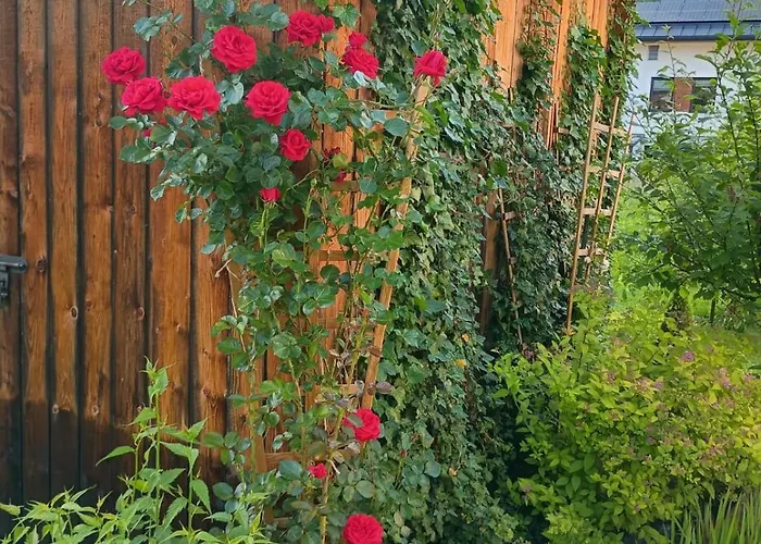 Lejlighed W Stodole Krościenko