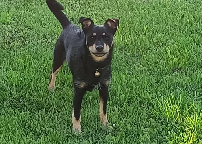 Lejlighed W Stodole Krościenko